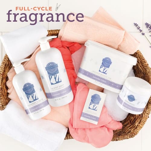 SCENTSY LAUNDRY 2019