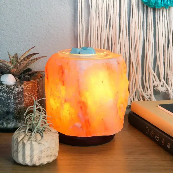 Pink Himalayan Salt Scentsy Warmer