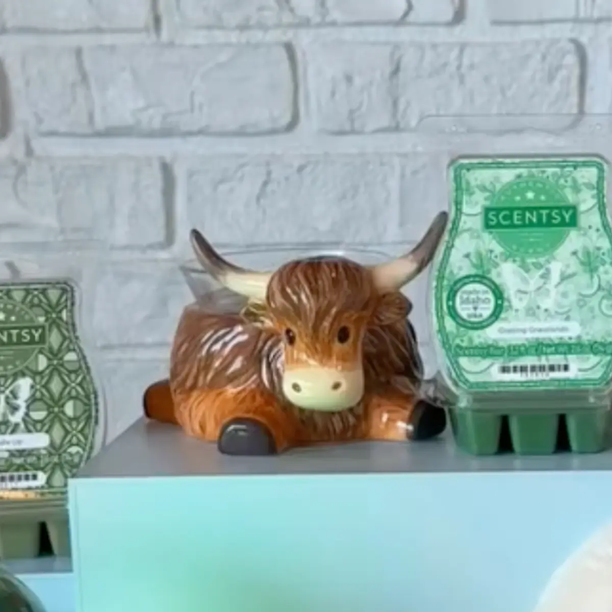 Grazing Grasslands Highland Cow Scentsy Warmer & Buddy | Shop 7/7
