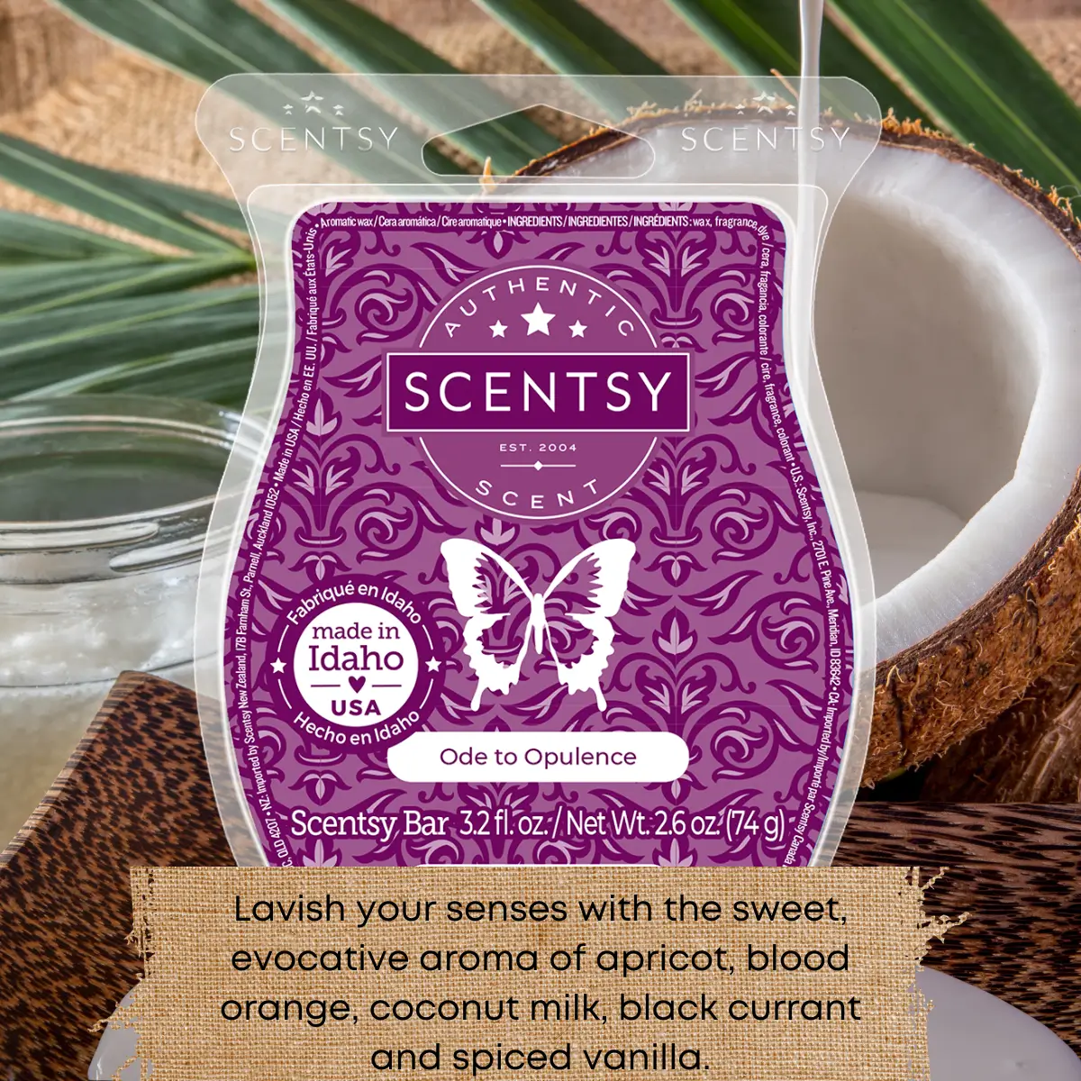 Scentsy Bring Back my Bar Winners January 2025