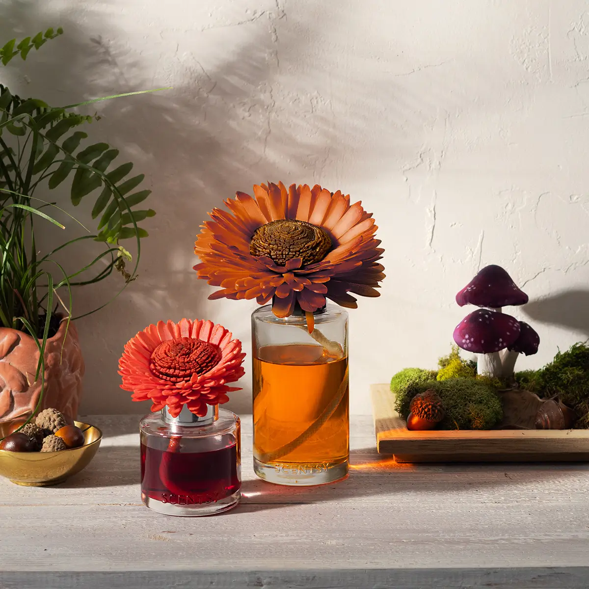 Cider & Crimson Berries Sunflower Scentsy Fragrance Flower