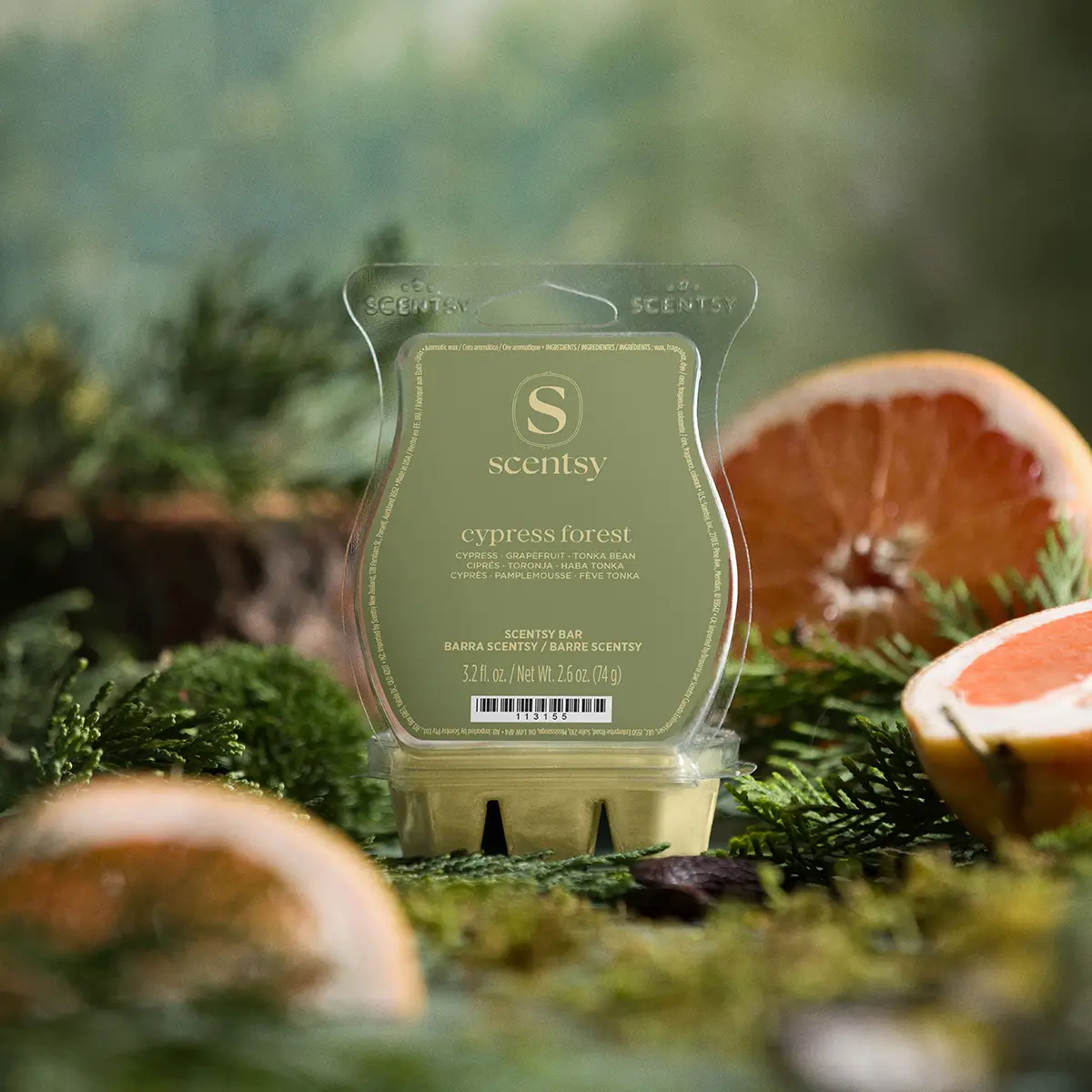1200X1200-2026-Augustedit-Cozycabin-Cypressforest-Scentsybar-R13 Cypress Forest Scentsy Bar - Cozy Cabin Edit