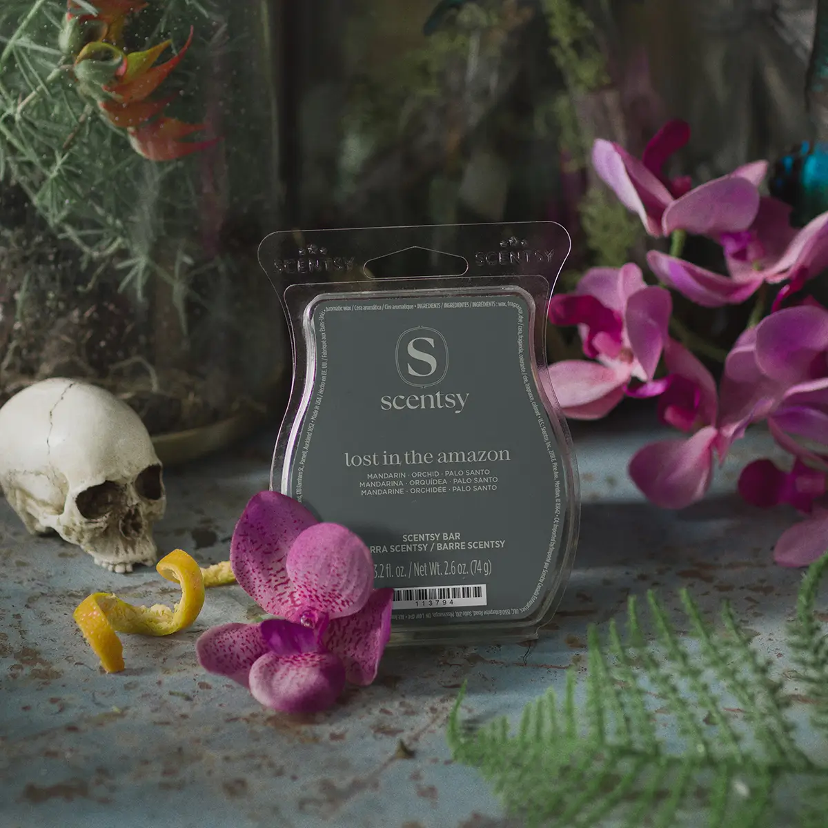 1200X1200-2026-Septemberedit-Halloween-Lostintheamazon-Scentsybar-R13 Lost in the Amazon Scentsy Bar