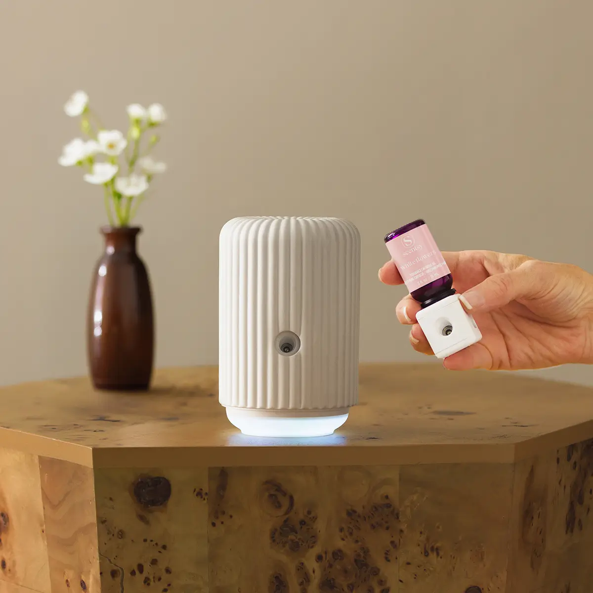 August 2026 Scentsy Host Rewards Exclusive: Get The Solo Diffuser For Just $40 August 2026 Scentsy Host Rewards Exclusive: Get the Solo Diffuser for Just $40
