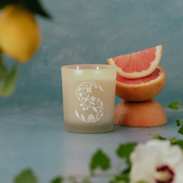 Blue Grotto Scentsy Scented Candle