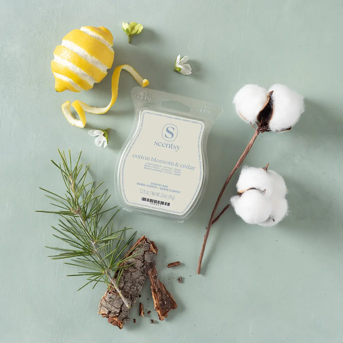 1200X1200-Classiccollection-Cottonblossomcedarwaxbar-2026-R13 Cotton Blossom & Cedar Scentsy Bar