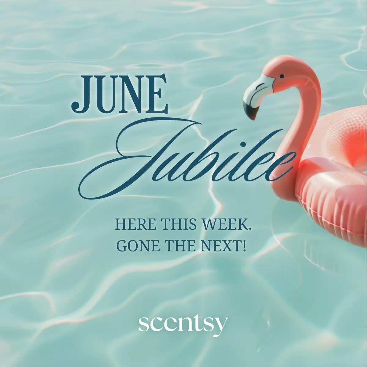 Scentsy | Shop Wax Warmers & Fragrance products