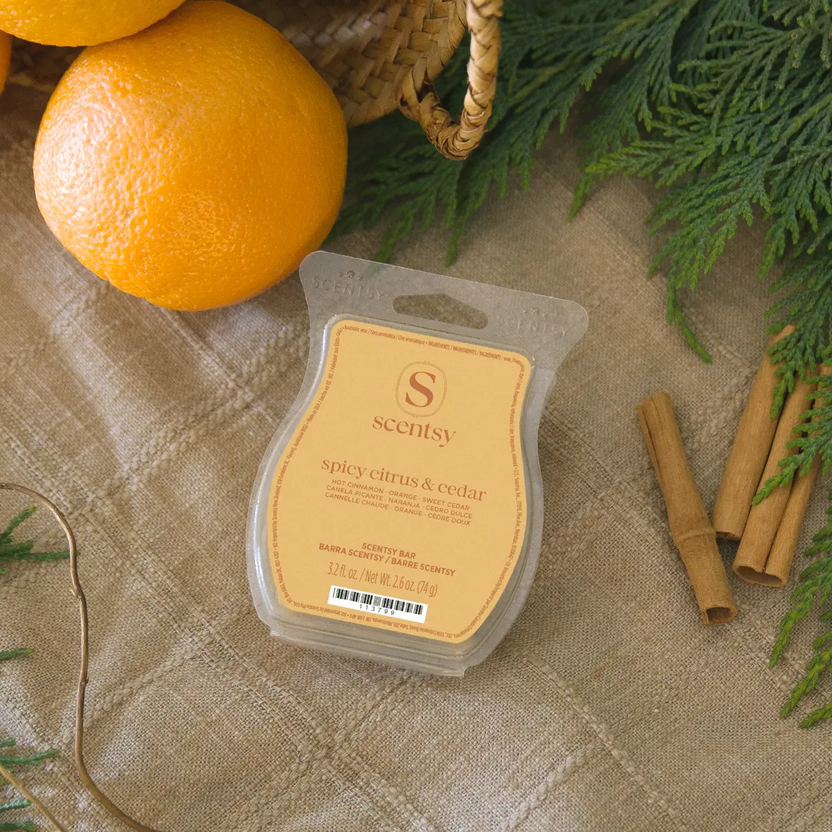 Spicy Citrus & Cedar Scentsy Bar - Harvest 2026