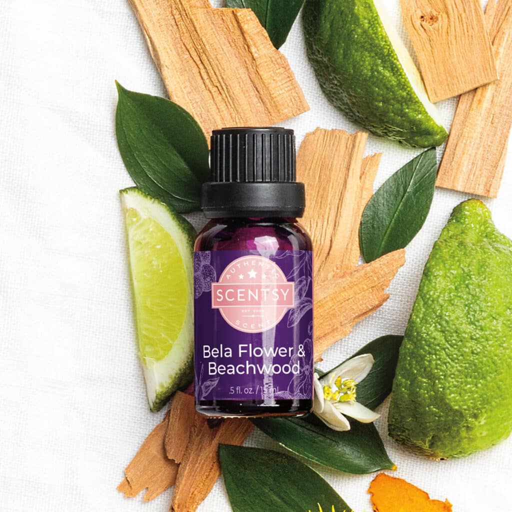 Bela Flower & Beachwood Scentsy Oil