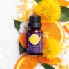 Dandelion & Turmeric White Tea Scentsy Oil