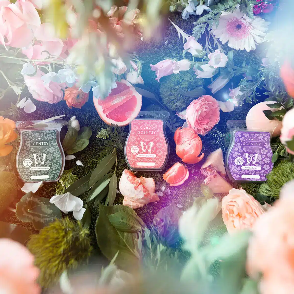 Scentsy 2024 Garden Wax Bundle