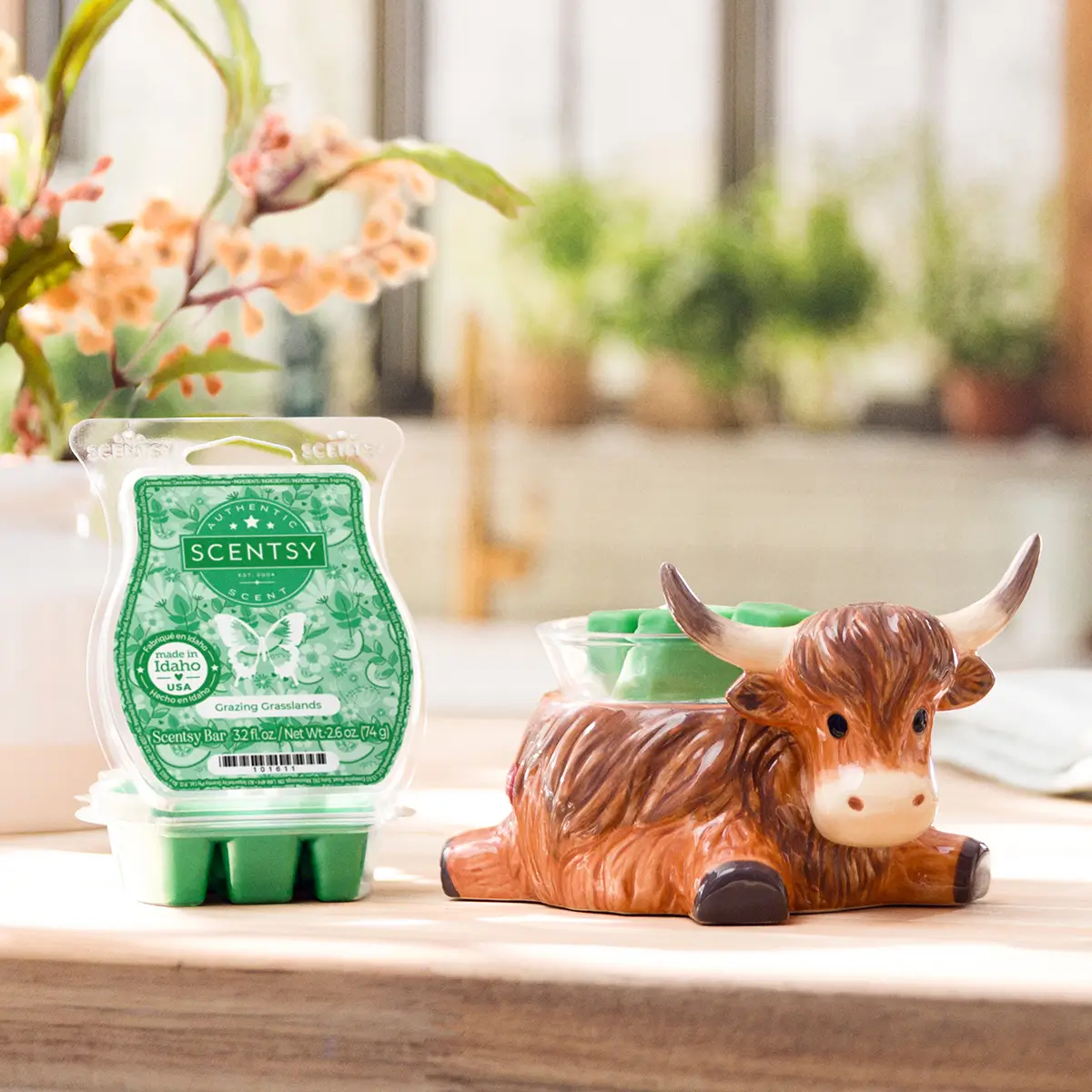 Highland Trails - Highland Cow Scentsy Warmer