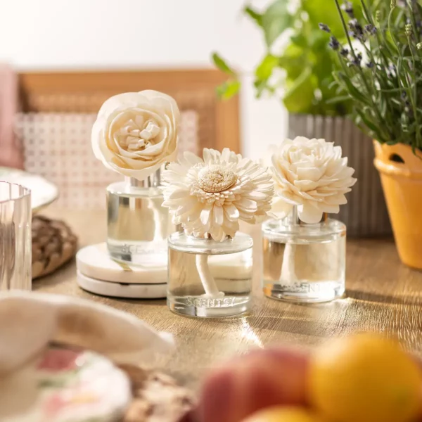 3 Scentsy Fragrance Flowers Bundle - Save 10%