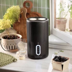 6 Classic Scentsy Pods Bundle