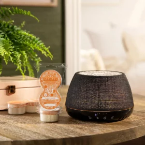 6 Classic Scentsy Pods Bundle