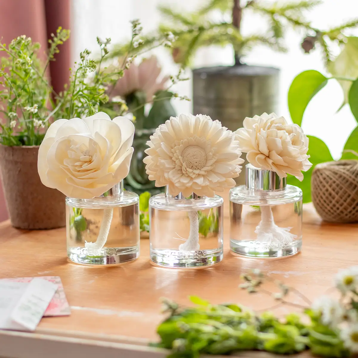 Scentsy Fragrance Flowers | Scentsy Club Subscription