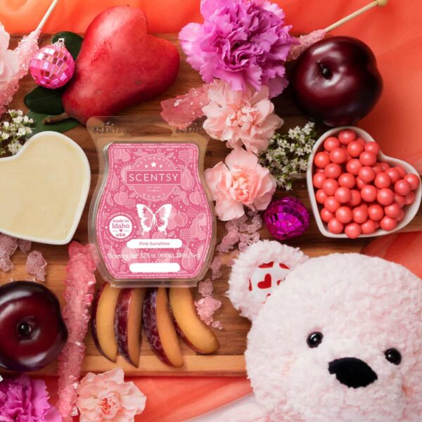 1200x1200 ValentinesDay PinkSunshineWax BennyBooBooBuddy 3 R3 2 1