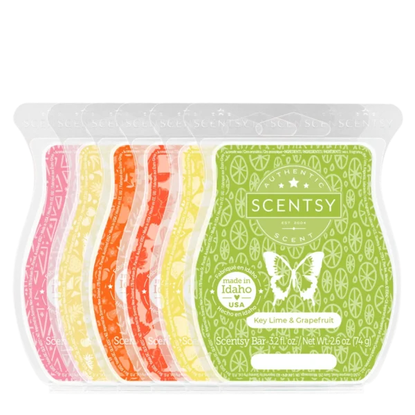Sip Back & Relax Scentsy 6-Bar Bundle