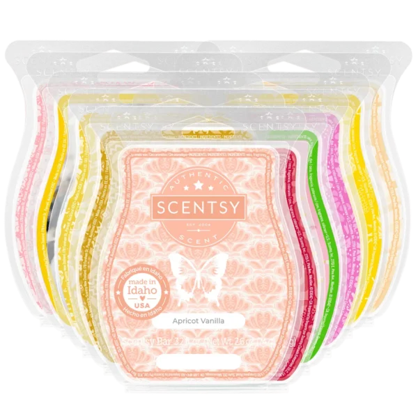 Twenty-One & Fun Birthday Scentsy 10-Bar Bundle