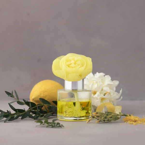 Honeysuckle Dew - Buttercup Belle Fragrance Flower