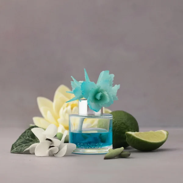 Serene Succulent – Elegant Echeveria Fragrance Flower