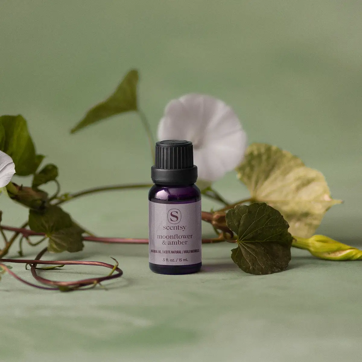 Moonflower & Amber Scentsy Oil