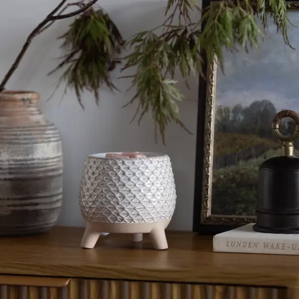 Take A Stand Scentsy Warmer