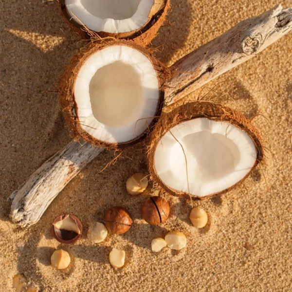 Barefoot Beach Scentsy Hand Soap