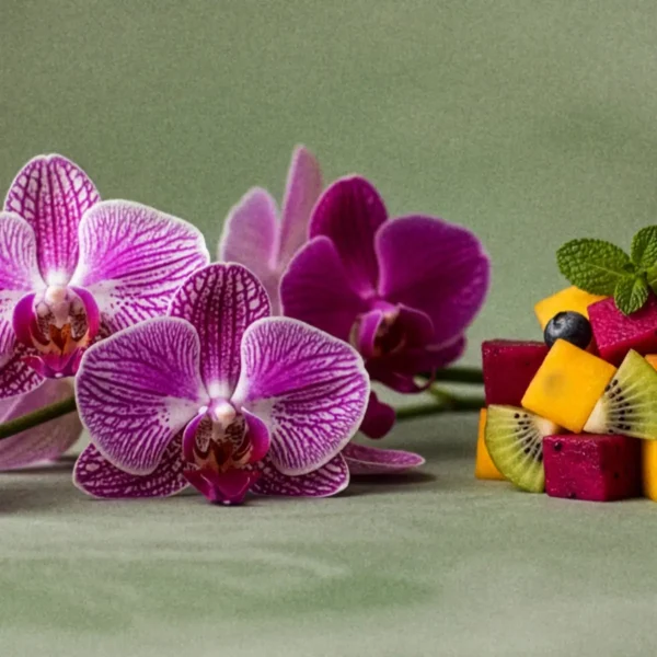 Bora Bora Blossom Scentsy Bar