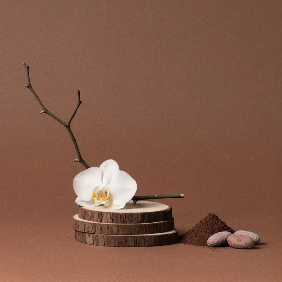 Cocoa Cashmere Scentsy Scent Circle 3 Pack