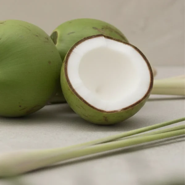 Coconut Lemongrass Scentsy Brick |  XL Wax Bar