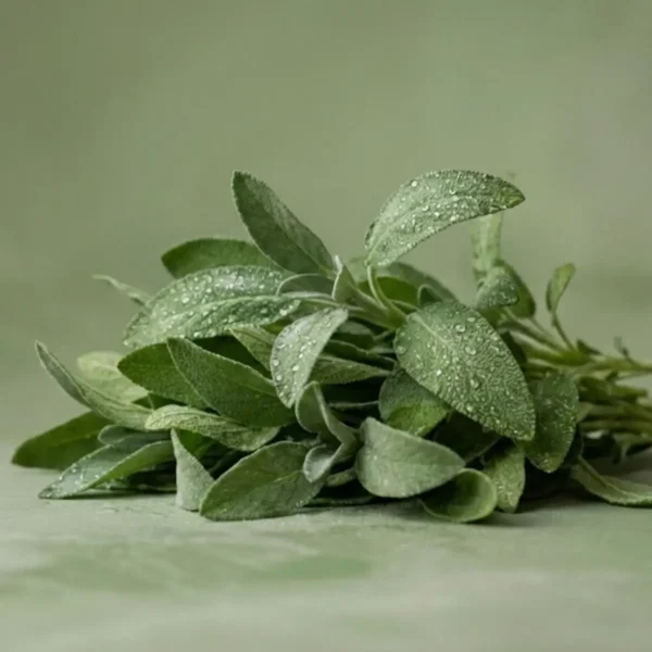 Freshwater Sage Scentsy Wax Bar