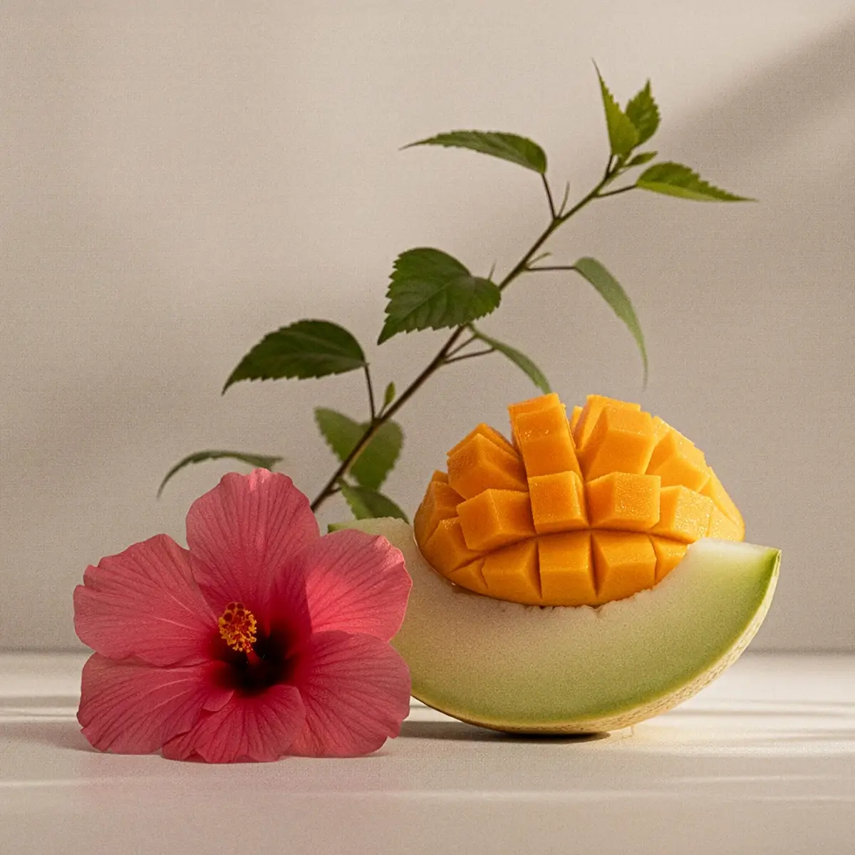 Go Go Mango Scentsy Wax Bar