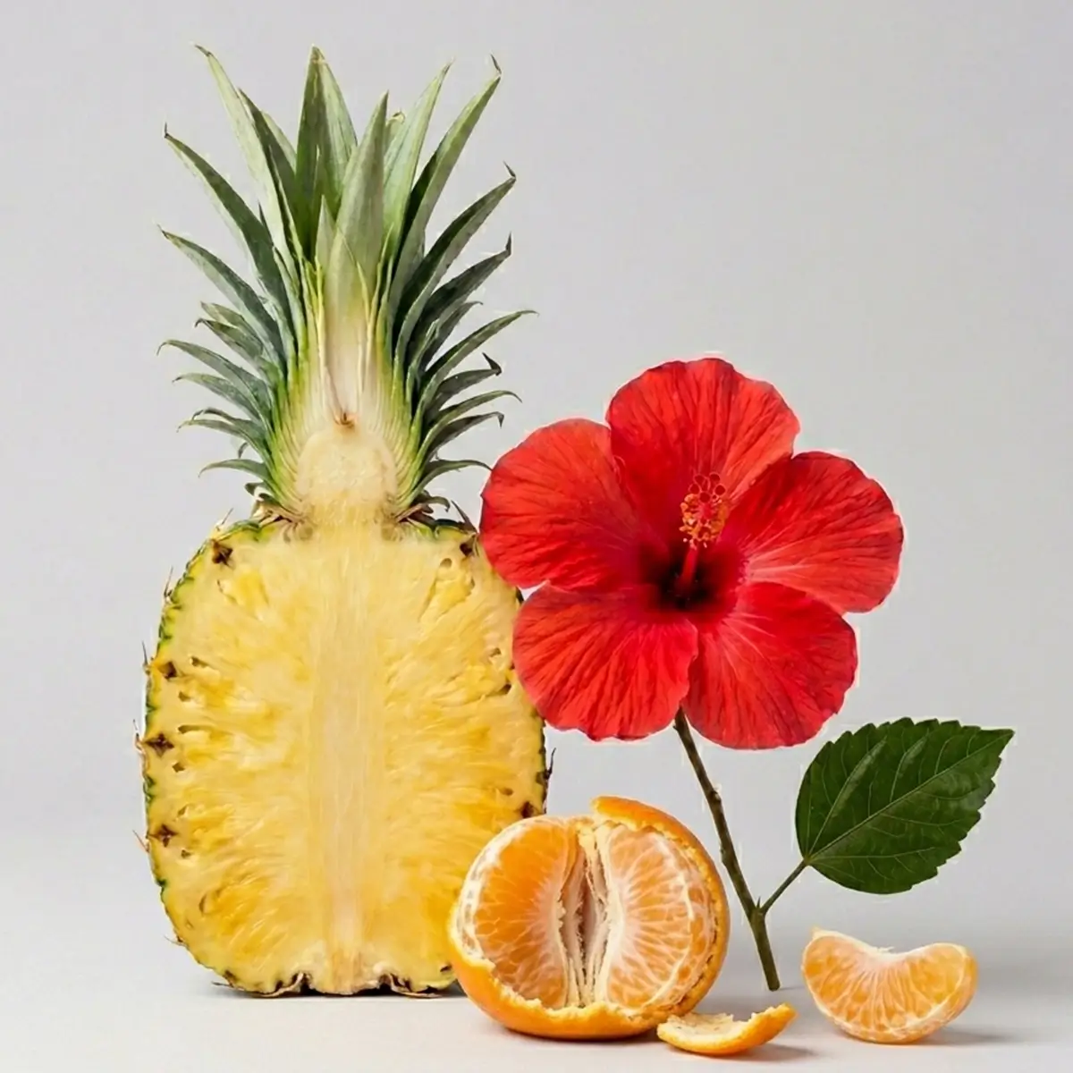 1200X1200Scentscentnoteshibiscuspineapplera2026_Highres Hibiscus Pineapple Scentsy Scent Circle 3 Pack