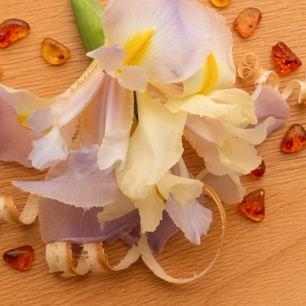 White Ember 15 mL Scentsy Fragrance Cartridge - Scentsy Club