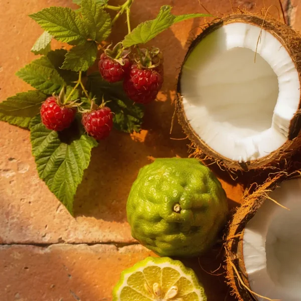 Italian Sunshine Scentsy Room Spray