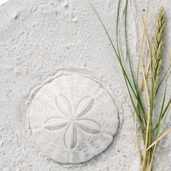 1200X1200Scentnotesseagrassandsand1Cc1F6E62575447F885037C08E193Af9A_Highres Seagrass & Sand Scentsy Wax Bar