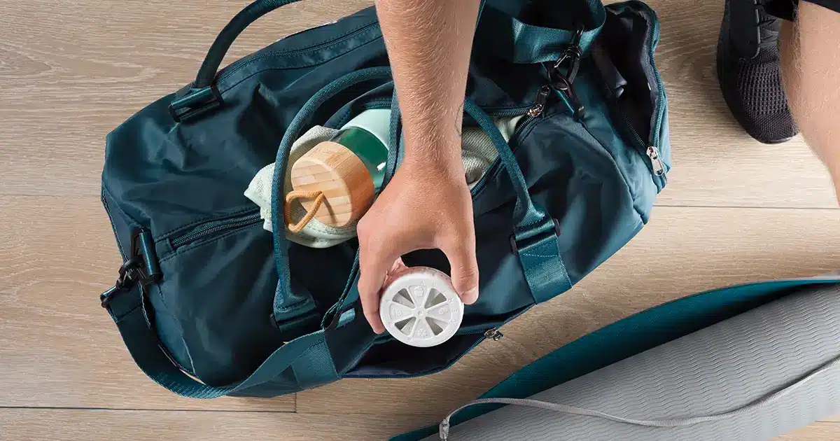 Scentsy Travel Twist