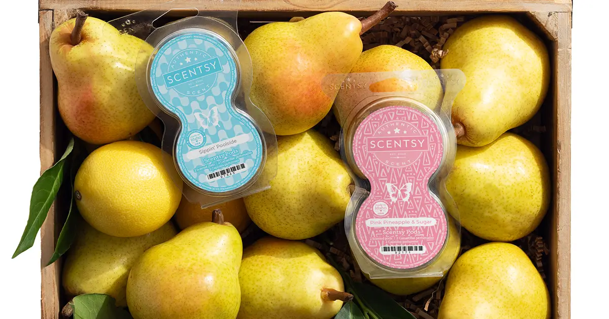 Scentsy Store: Warmers & Wax Bars