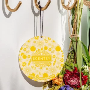 3 Scentsy Fragrance Flowers Bundle