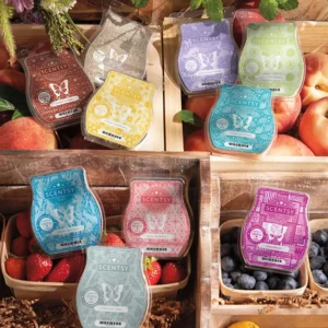 6 Scentsy Wax Bars – Save 10%