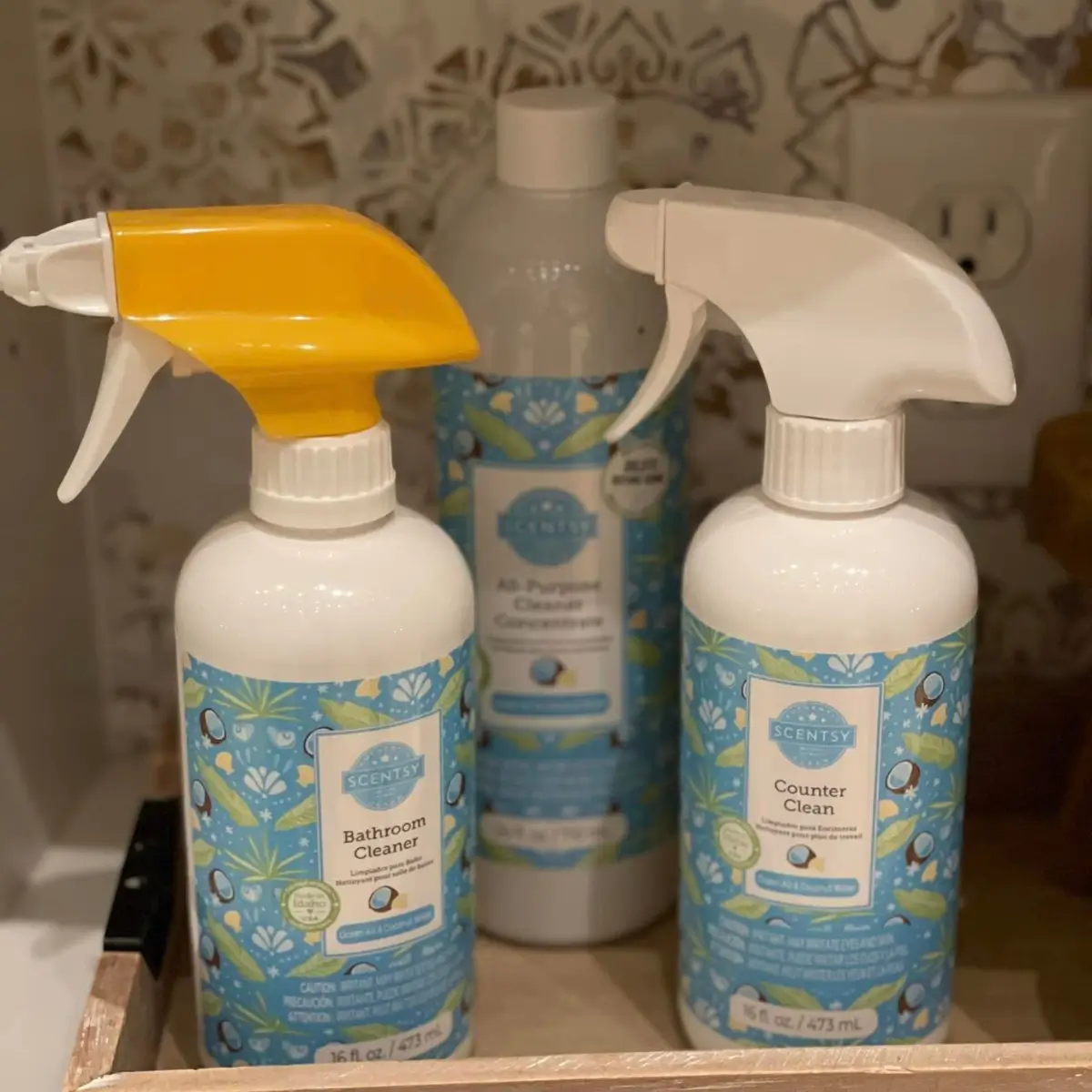 Scentsy Family Reunion - July 16-19, 2024 | Fall 2024 Info &Amp; Training Scentsy Family Reunion - July 16-19, 2024 | Fall 2024 Info & Training