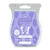 French Lavender Scentsy Bar