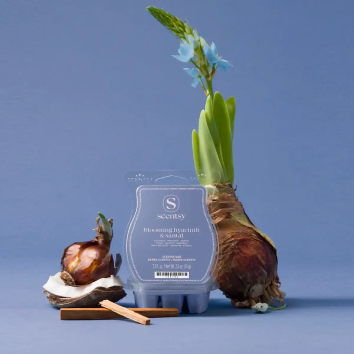 Scentsy 2026 Bloomie Warmer Collection - Shop 1/12 Scentsy 2026 Bloomie Warmer Collection - Shop 1/12