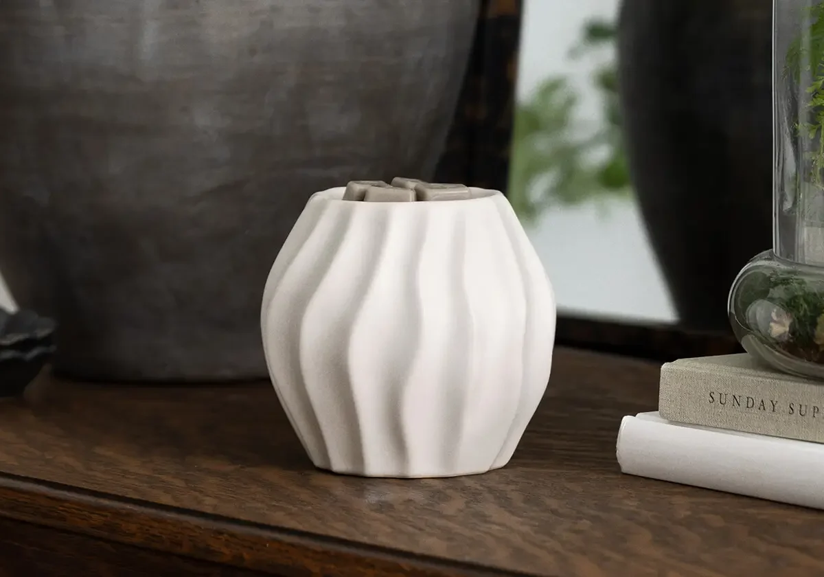 1600x840-HOME-Warmer-Cascade-R123-2026 (1) 6 Scentsy Wax Bars – Save 10%