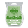 WINTER CANDY APPLE SCENTSY BAR | BRING BACK MY BAR JULY 2019 | Shop Scentsy | Incandescent.Scentsy.us
