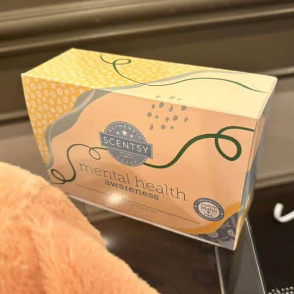 Scentsy World Tour 2024