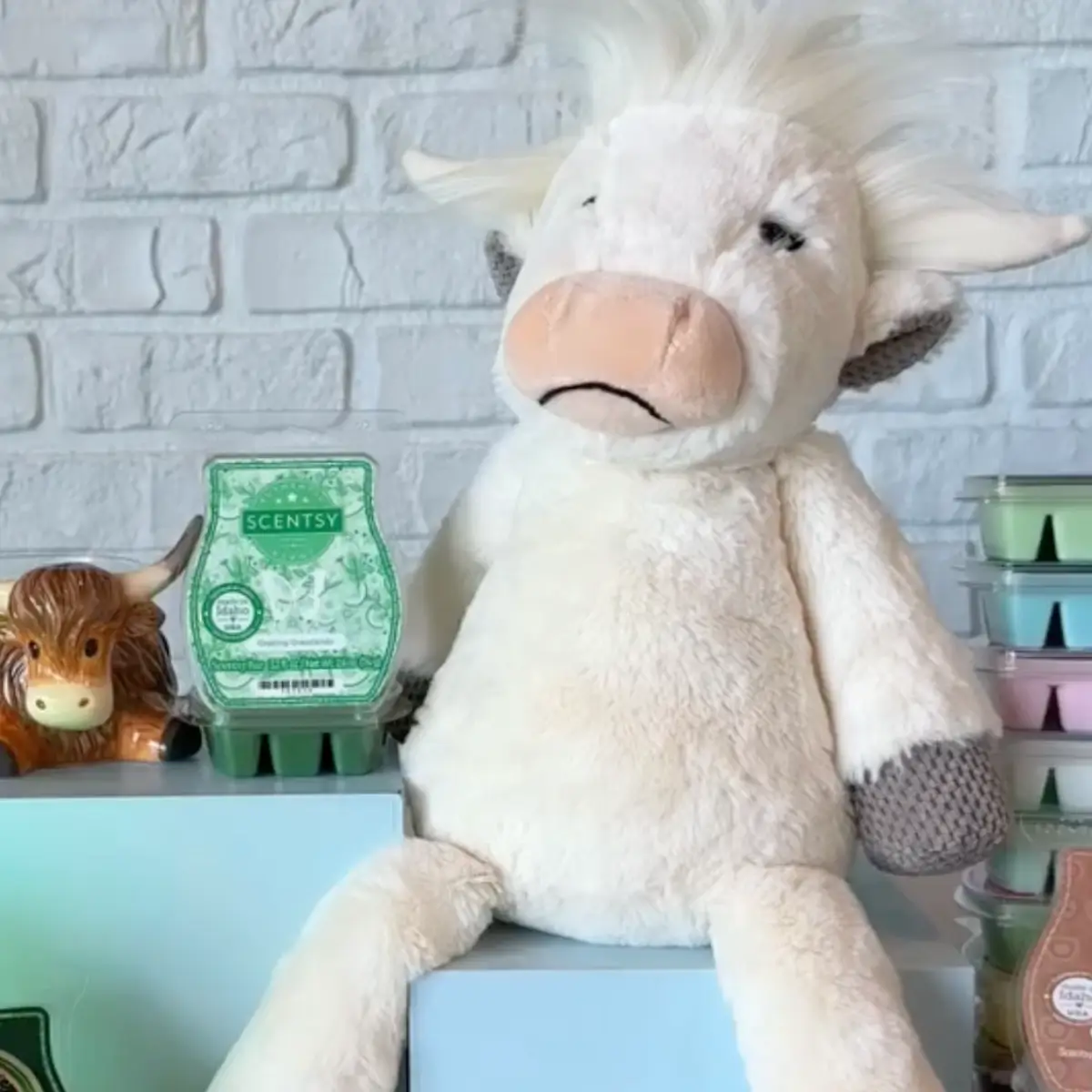 Grazing Grasslands Highland Cow Scentsy Warmer & Buddy | Shop 7/7