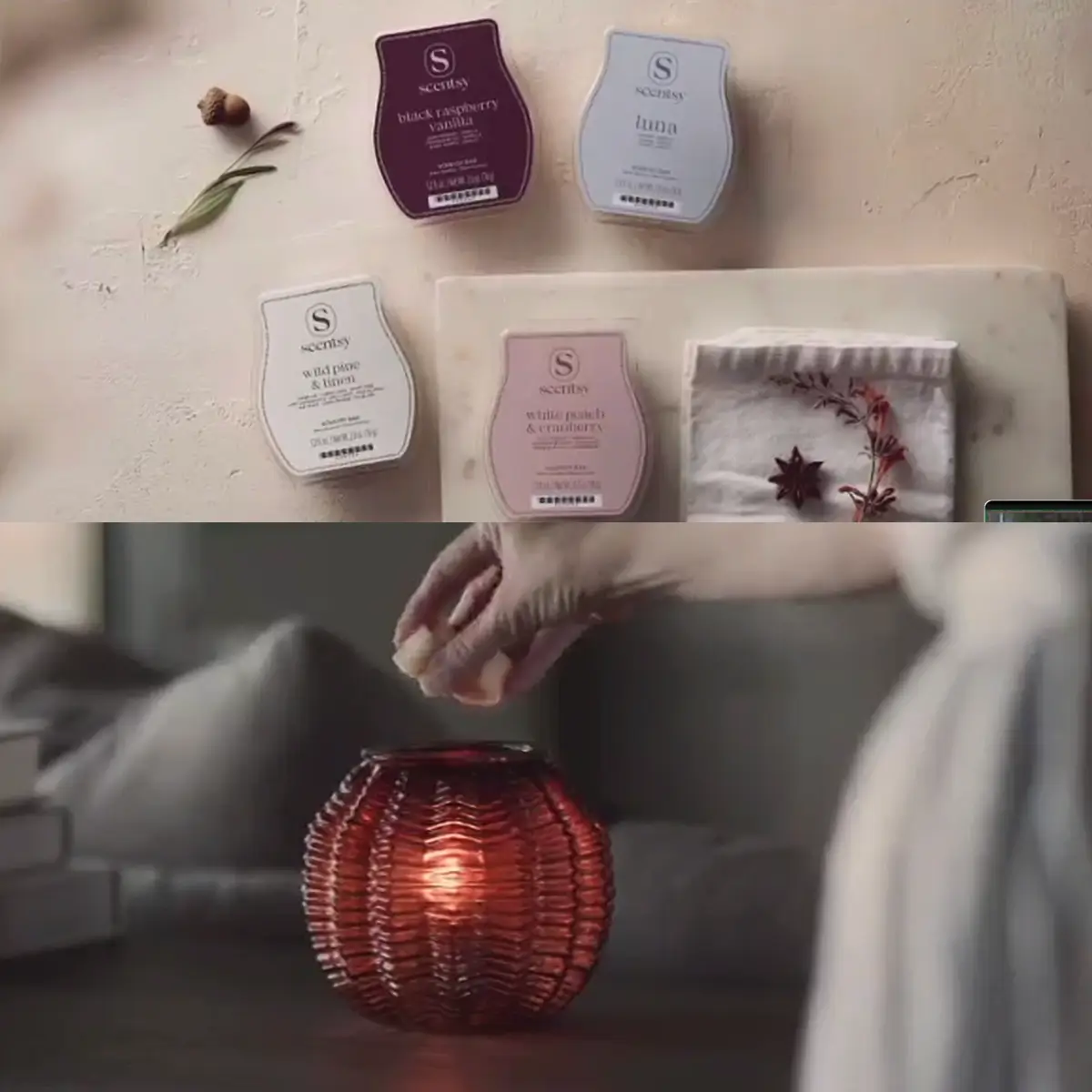 Scentsy Family Reunion - July 29-31, 2025 | Fall 2025 Info & Training