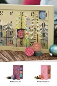 Scentsy 2015 Holiday Christmas Flyer 3